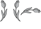 House of Holst